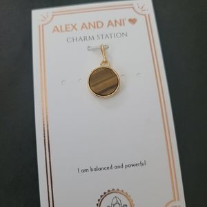 BRAND NEW - TIGER EYE - Alex and Ani Charm